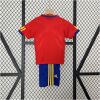 Kids World Cup Spain Retro Home Kit 2010 Kids World Cup Spain Retro Home Kit 2010 rear view of shirt and shorts