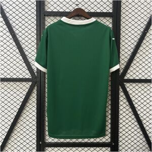 Mens Palmeiras Home Jersey 2025/26 front view on display
