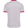 Mens Denmark World Cup Away Jersey 2026 white pinstriped shirt back view