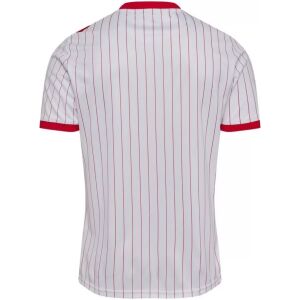 Mens Denmark World Cup Away Jersey 2026 white pinstriped shirt back view