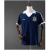 Mens Scotland Retro Home Jersey 1978 front view on mannequin
