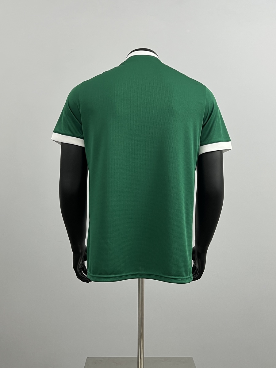 Mens Palmeiras All Sponsors green Home Jersey 2025/26 Mens Palmeiras All Sponsors green Home Jersey 2025/26 rear view showing matching team styling