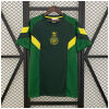 Mens Celtics green Special Edition Jersey 2025/26 front view in green and yellow