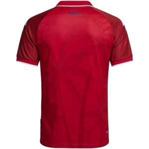 Mens Haiti World Cup Third Jersey 2026 garnet red shirt back view with palm tree watermark
