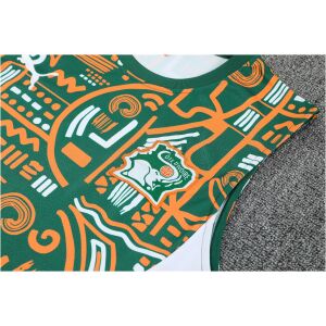Mens Cote d’Ivoire Blue Training Kit Singlet Kits Kit 2025 rear view of shirt and shorts