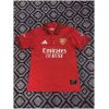Mens Arsenal Special Version Red Polo Jersey 2026/27