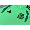 Mens Mexico World Cup Green Training Kit 2026 Mens Mexico World Cup Green Training Kit Singlet Kits Kit 2026 rear view of shirt and shorts