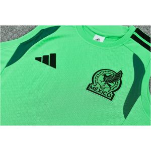 Mens Mexico World Cup Green Training Kit Singlet Kits Kit 2026 rear view of shirt and shorts