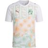 Mens Ivory Coast World Cup Away Jersey 2026 white shirt with mint palm stripes front view