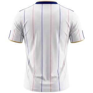 Mens France World Cup Retro Away Jersey 2010 back view detail