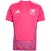 Mens Mexico World Cup Goalkeeper Jersey 2026 front view