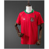Mens Wales Retro Home Jersey 1994 front view on mannequin
