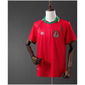 Mens Wales Retro Home Jersey 1994 front view on mannequin