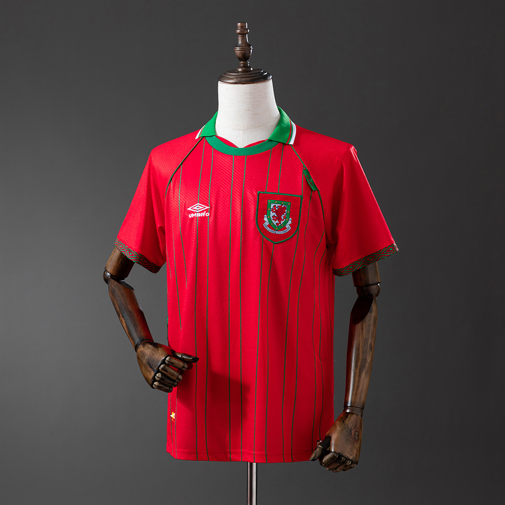 Mens Wales Retro Home Jersey 1994 Mens Wales Retro Home Jersey 1994 front view on mannequin
