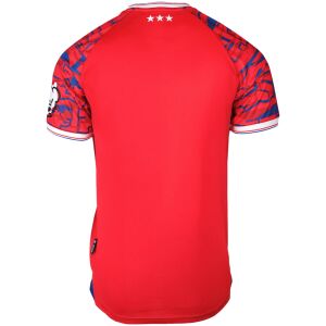 Mens Ipswich Town Away Jersey 2025/26 rear view showing matching team styling