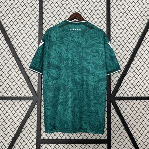 Mens Santiago Wanderers Home Jersey 2024/25 front view on display