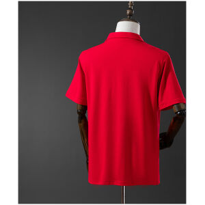 Mens Wales Retro Home Jersey 1976 rear view showing authentic team styling