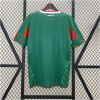 Mens World Cup Mexico Retro Home Jersey 2010 Mens World Cup Mexico Retro Home Jersey 2010 back view detail