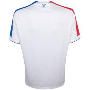 Mens Crystal Palace Third Jersey 2025/26 rear view showing matching team styling