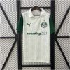Mens Palmeiras Away Jersey 2025/26 front view on display