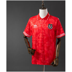Mens Wales Retro Home Jersey 1990 front view on mannequin