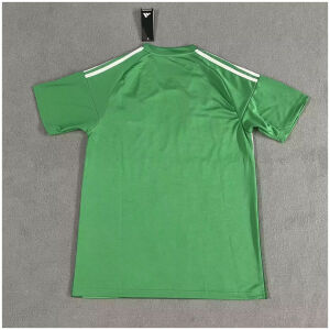 Mens Newcastle Away Jersey 2025/26 back view detail