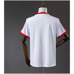 Mens Ireland Retro Home Jersey 1978 back view detail