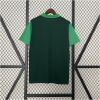 Mens Palmeiras green Polo 2024/25 front view on display