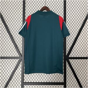 Mens Cruzeiro Polo 2024/25 front view on display