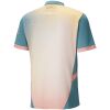 Mens Manchester City Fourth Jersey 2024/25 Mens Manchester City Fourth Jersey 2024/25 rear view showing authentic team styling