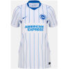 Womens Brighton & Hove Albion away jersey 2026/27 front view with blue pinstripes