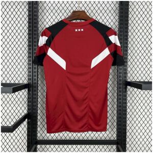 Mens Ajax Red Training Kit Jersey 2024/25 front view on display