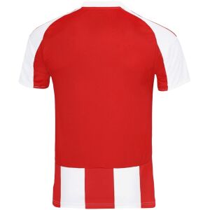 Mens Olympiacos Home Jersey 2025/26 rear view showing matching team styling