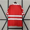 Mens Denmark Retro Home Jersey 1988 back view detail