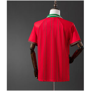 Mens Wales Retro Home Jersey 1994 rear view showing authentic team styling