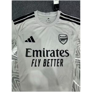 Mens Arsenal Goalkeeper Jersey Grey 2026/27
