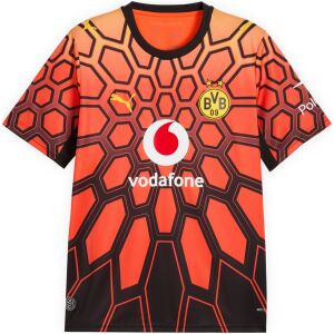Mens Borussia Dortmund Goalkeeper Jersey 2026/27 95008 eb0f457876153.jpg
