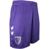 Womens AFC Bournemouth Away Shorts 2026/27 rear view showing clean waistband and athletic cut