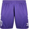 Womens AFC Bournemouth Away shorts 2026/27 front view in purple with white side chevrons