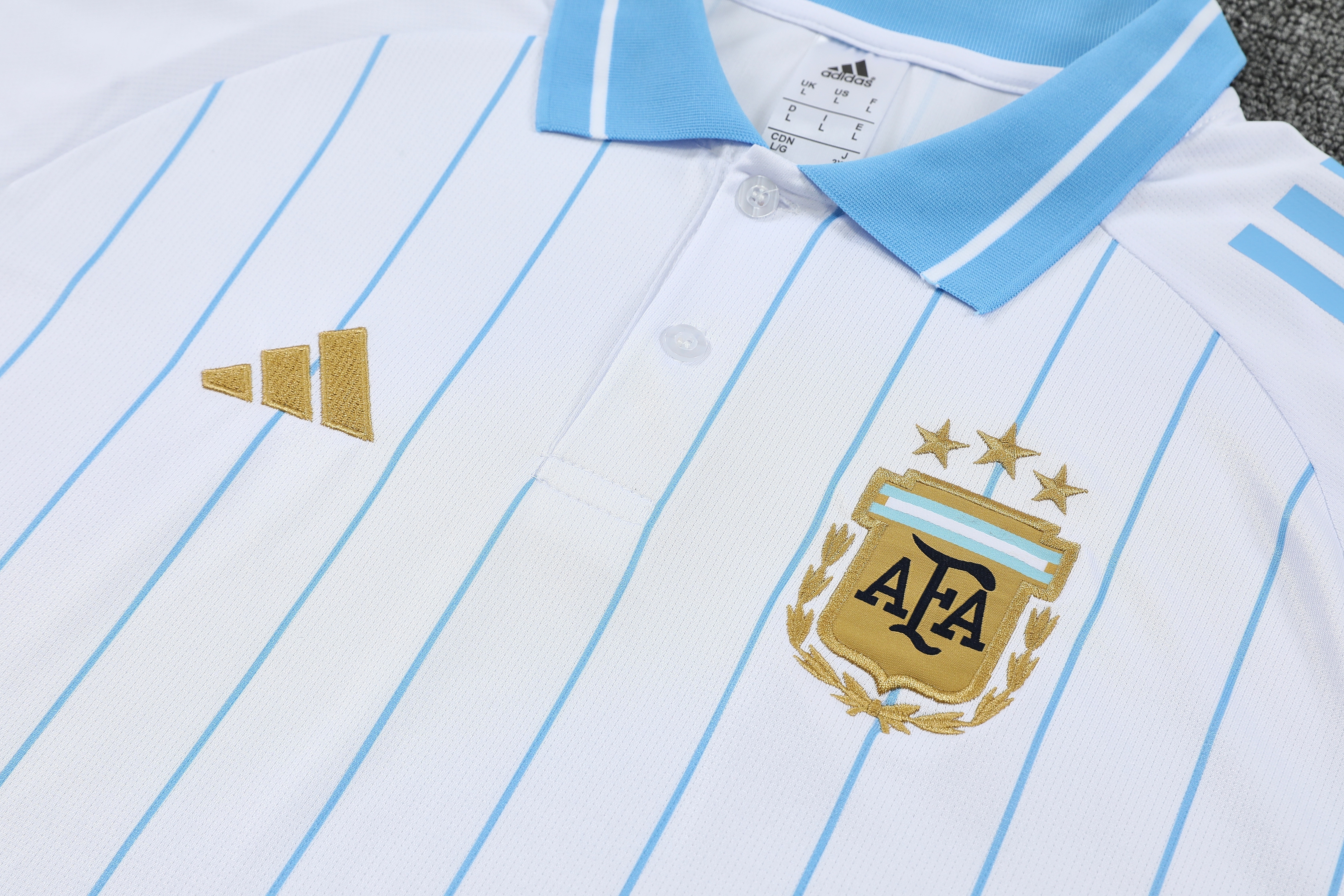 Mens Argentina Blue Training Kit Polo 2025 Mens Argentina Blue Training Kit Polo 2025 rear view of shirt and shorts