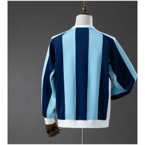 Mens Argentina Blue Long Sleeve Hoodie 2025 rear view showing matching team styling