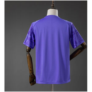 Mens Bahia GK-Purple Jersey 2026/27 rear view showing authentic team styling