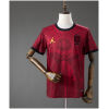 Mens Brazil Concept Brown Jersey 2026 front view in maroon brown with Christ graphic and crest