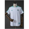 Mens Brazil Terrace Icons White T-Shirt front view in white with green stripes and 5-star CBF crest