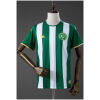 Front view of the Mens Chapecoense Home Jersey 2026 with emerald green and white vertical stripes
