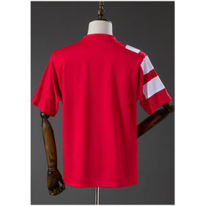 Mens Chile World Cup Retro Home Jersey 1994 rear view showing authentic team styling