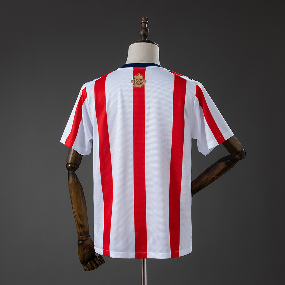 Mens Chivas de Guadalajara 120 Aniversario Jersey Mens Chivas de Guadalajara 120 Aniversario Jersey rear view showing authentic team styling