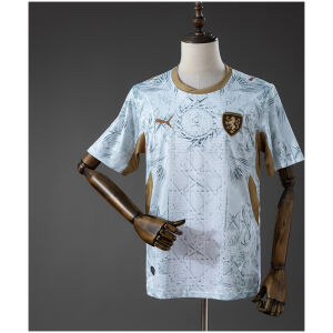 Mens Czech Republic Away Jersey 2026 front view in ice blue and white with bronze trim and lion crest