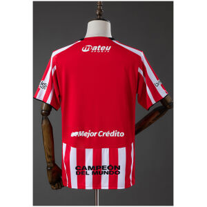 Mens Estudiantes de La Plata Home Jersey 2026/27 rear view showing authentic team styling