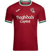 Deep red Real Sociedad third jersey with white and green collar trim front view